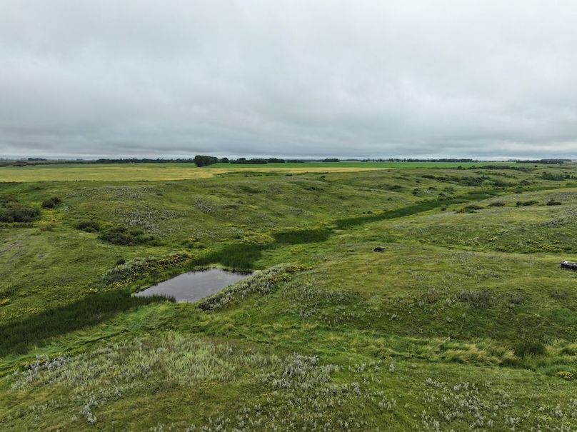 DJI_20250704133129_0601_D