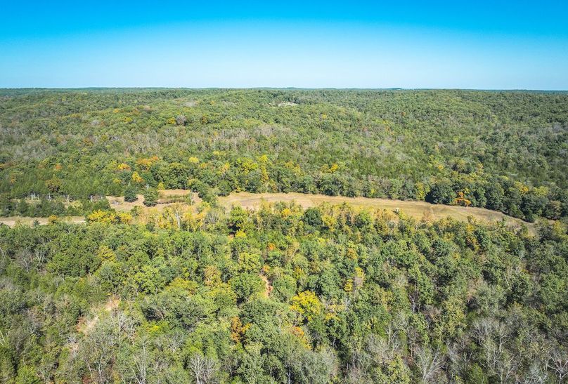 DJI_20251009063306_0651_D