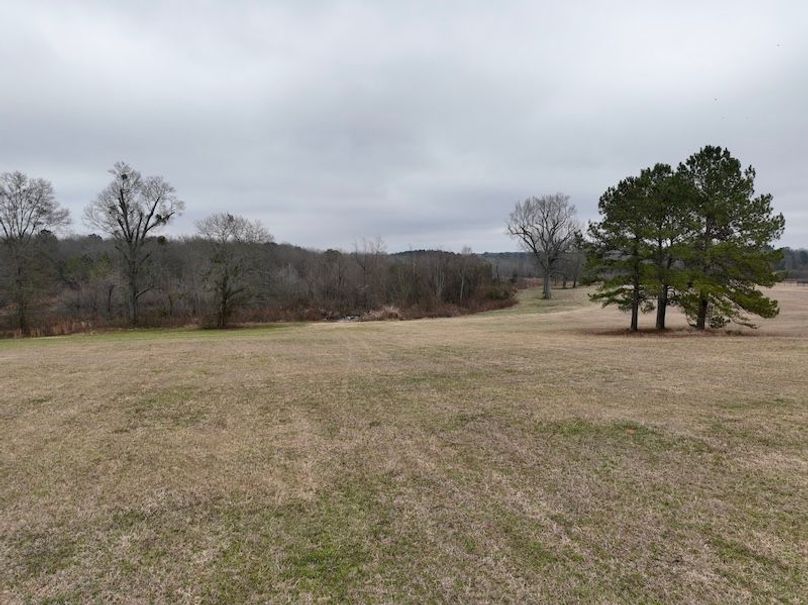 dji_fly_20260210_104232_252_1770738265334_photo