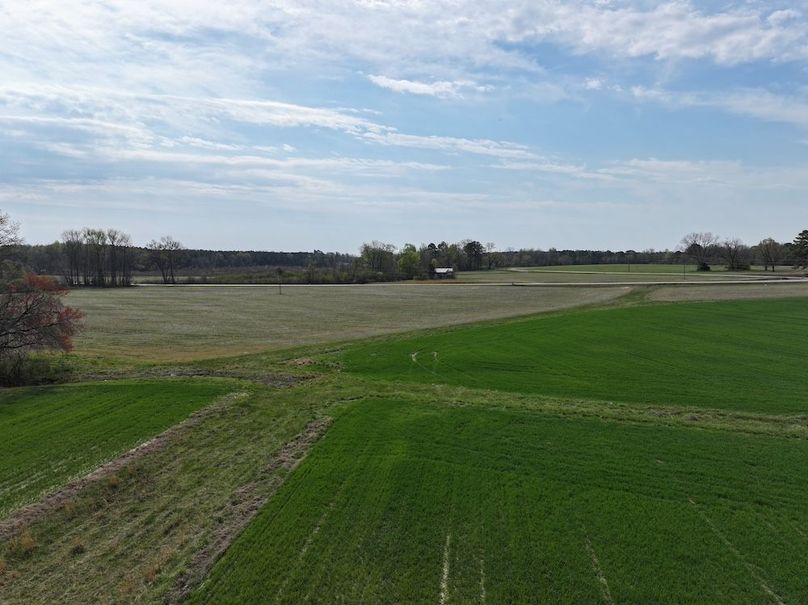 DJI_20260303064502_0582_D