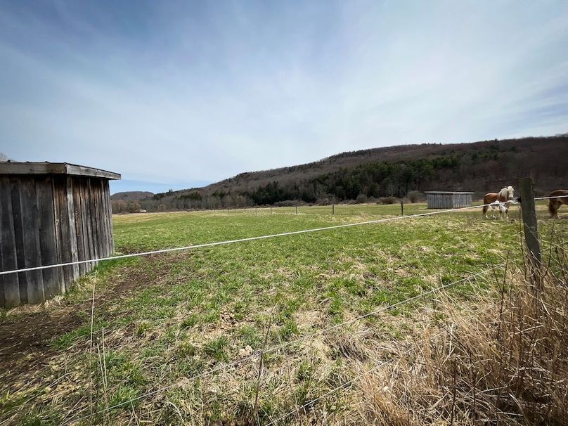 Tioga__NY_109.7_Burris_Photos_117