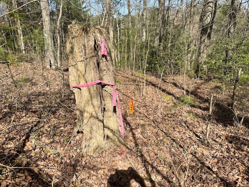 008 fresh survey boundary markers