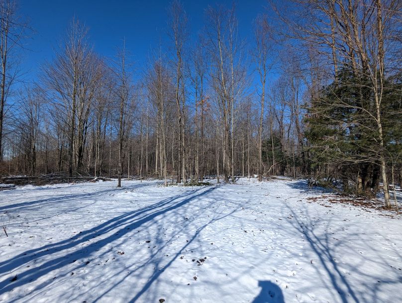 PXL_20230202_162420481