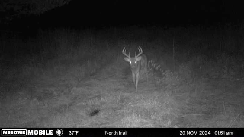 Temp_1082396-20241120075207-100MFCAM-MFDC1532