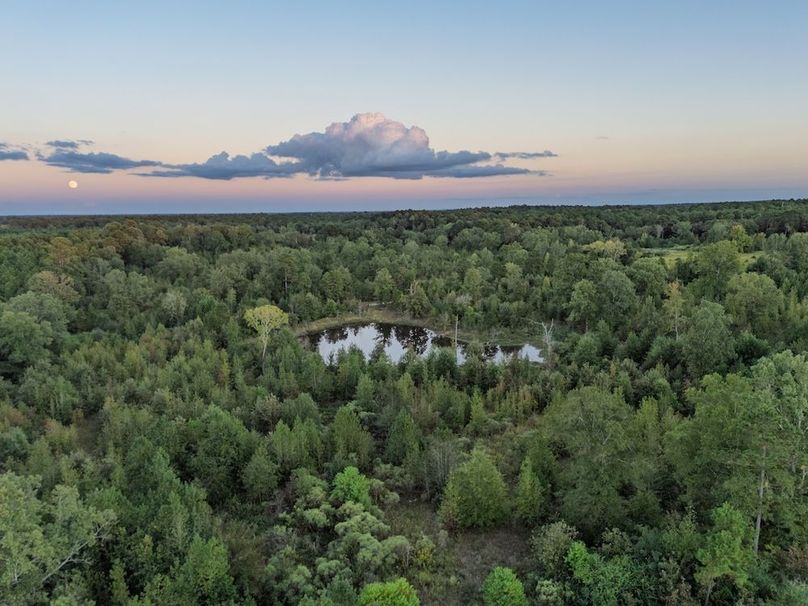 6  Edited Harison co. 206 - Ed Robb-046