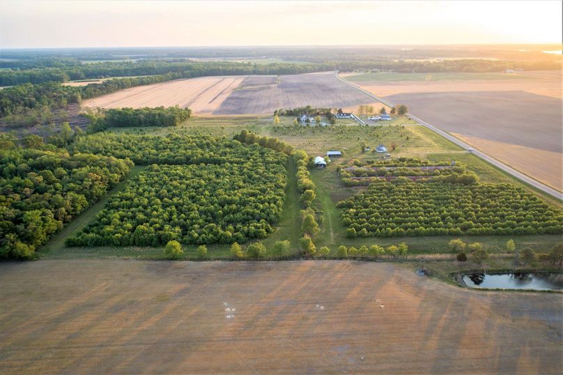 50.38ac_BethlehemRd_Caroline_AERIAL_008