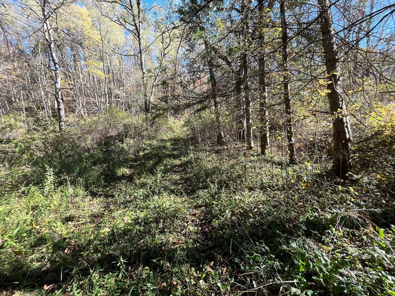 Schuyler_25.155_Ennis_Photos_17