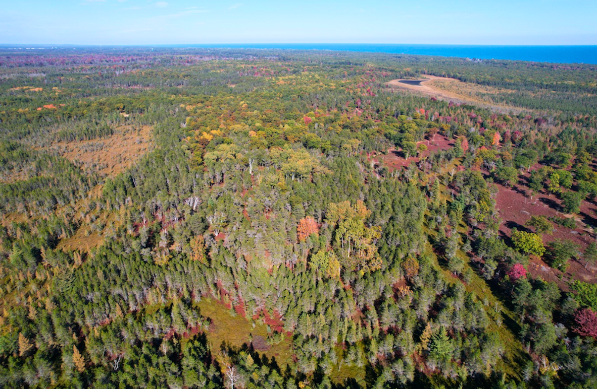 Screenshot 2025-11-14 at 11.02.17 AM