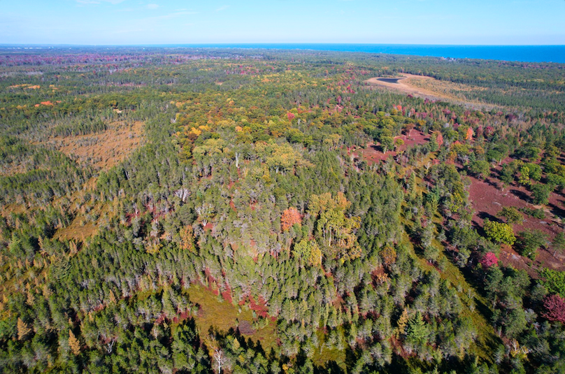 Screenshot 2025-11-14 at 11.02.17 AM