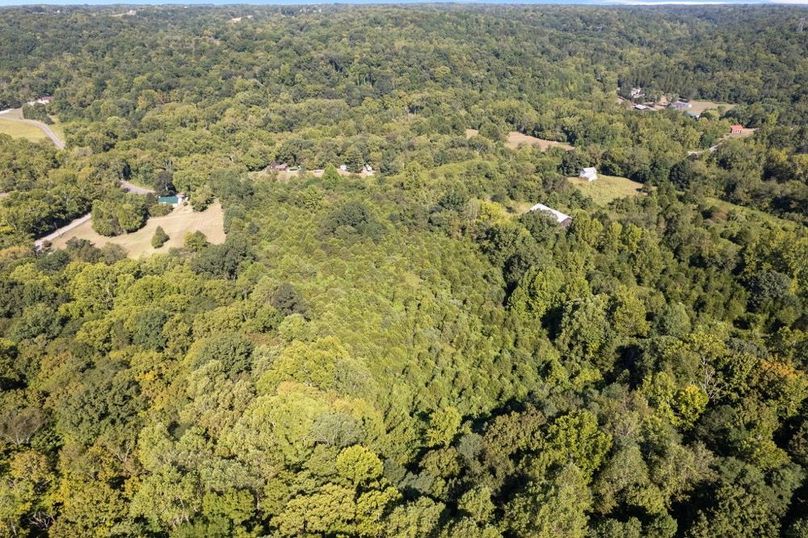 11-web-or-mls-DJI_0251