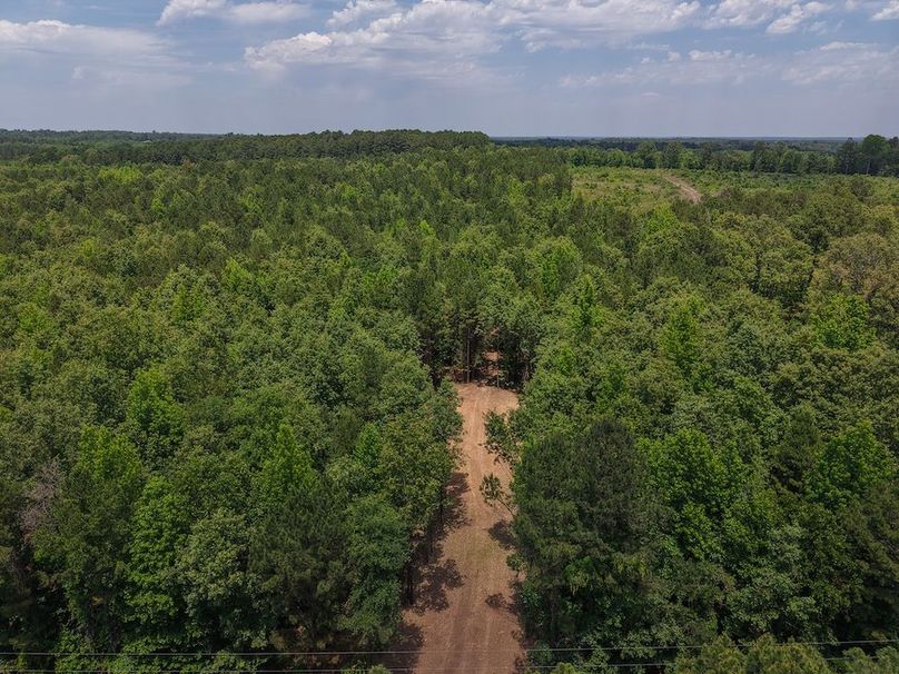 DJI_20260509035529_0064_D