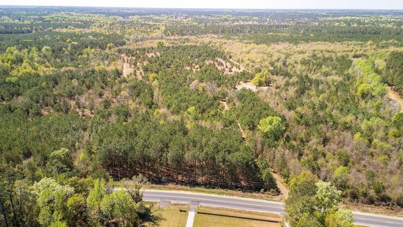 Florence 143.5 Coastal Photo-15