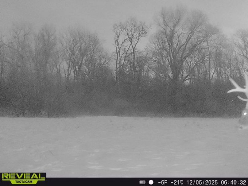 Copy of Trail photos.12