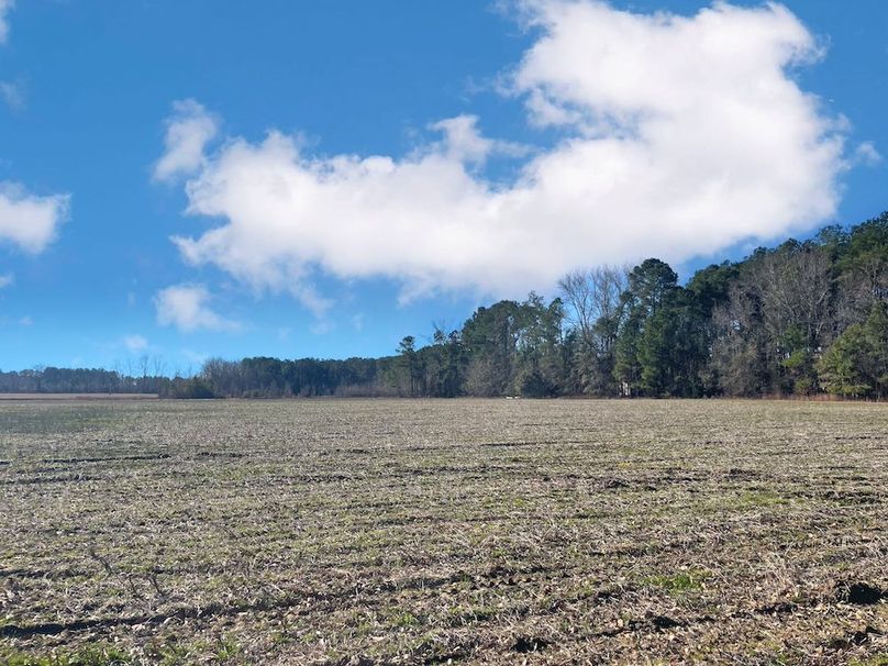 044AB457-BE13-49B9-90D2-7DCC3C73F5D4