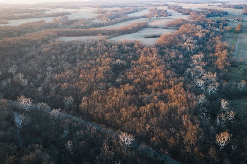 DJI_20260309183944_0337_D