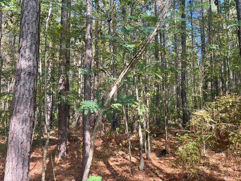 3B281D08-E8E7-4F36-A803-321310DC3D35_1_105_c