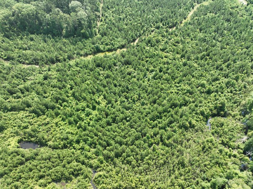 dji_fly_20230516_110040_115_1684333503139_photo