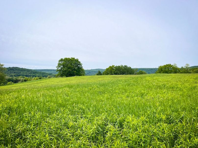 Tioga_31.4_Kemp_Photos_25