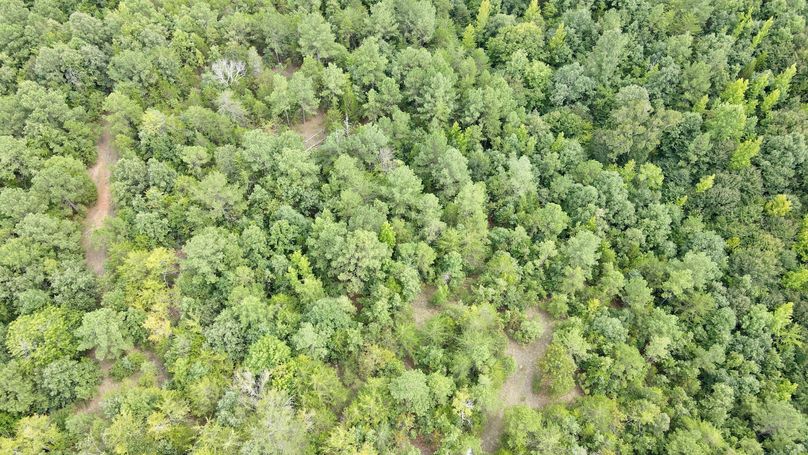 dji_fly_20230808_154104_263_1691523674503_photo