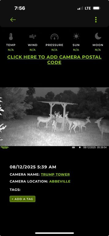 Screenshot 2025-08-12 at 7.56.00 AM