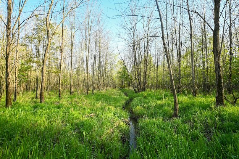 vandalia 450 (2)-3011