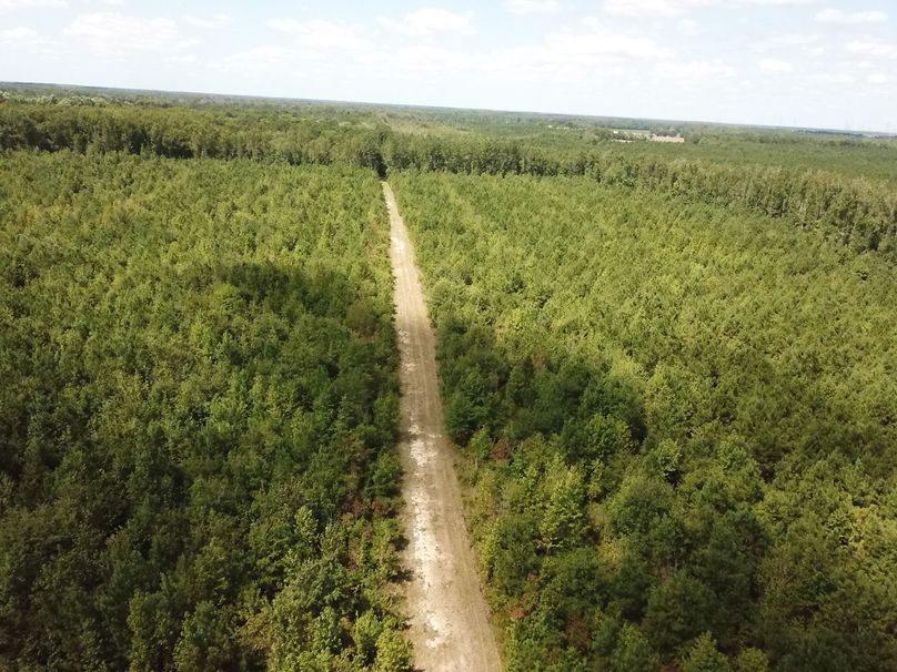 DJI_0061