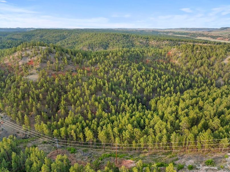 02-DJI_20250507185834_0793_D