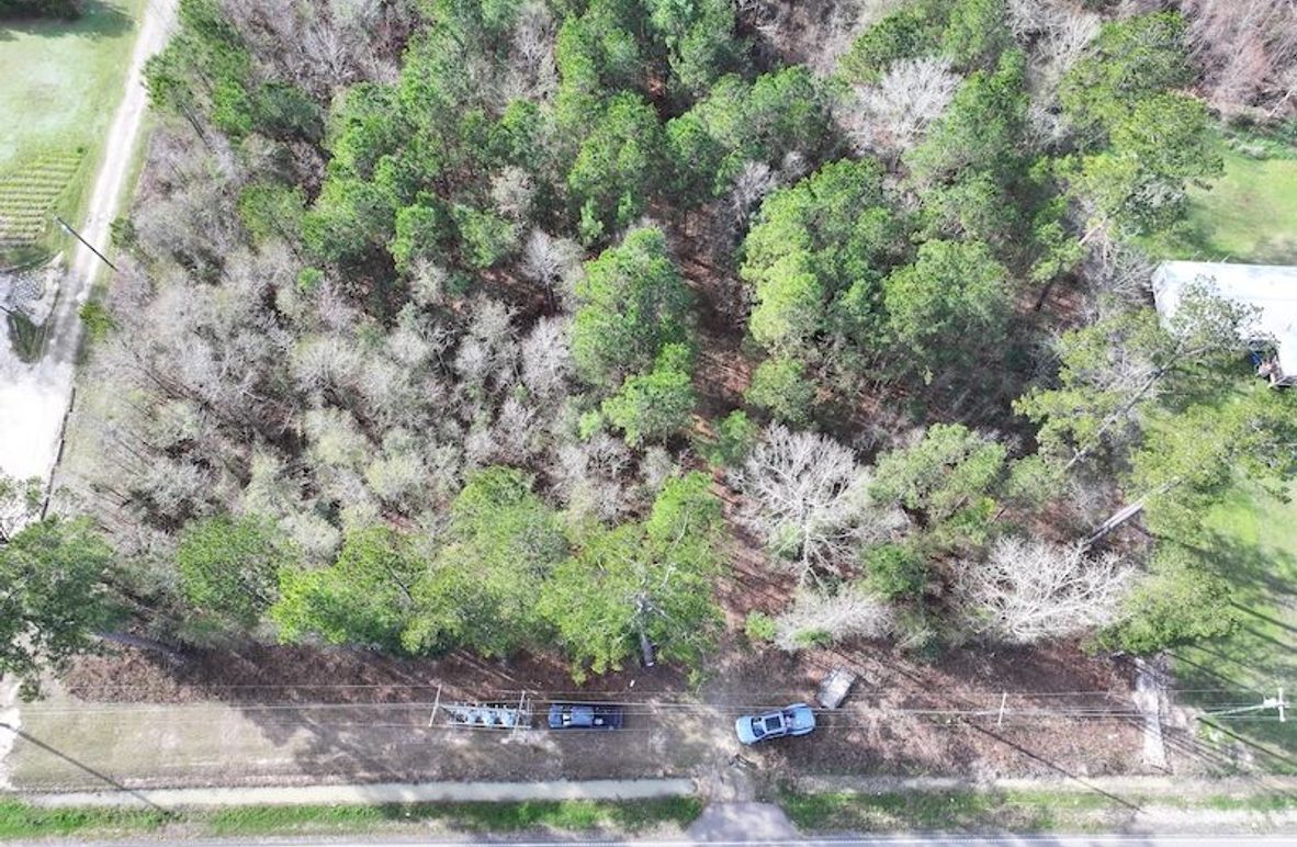 dji_fly_20260112_123558_0817_1768323789578_photo