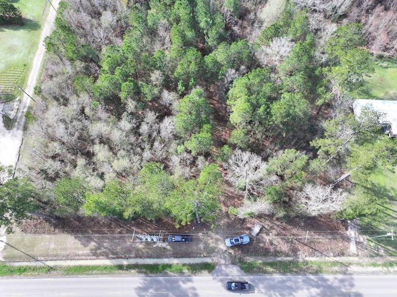 dji_fly_20260112_123558_0817_1768323789578_photo