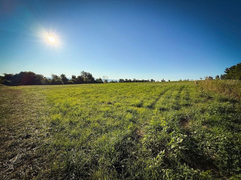 Copy of Wood Tract 5 Photo 10