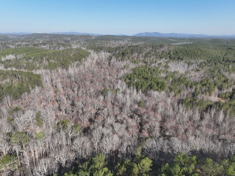 DJI_0930