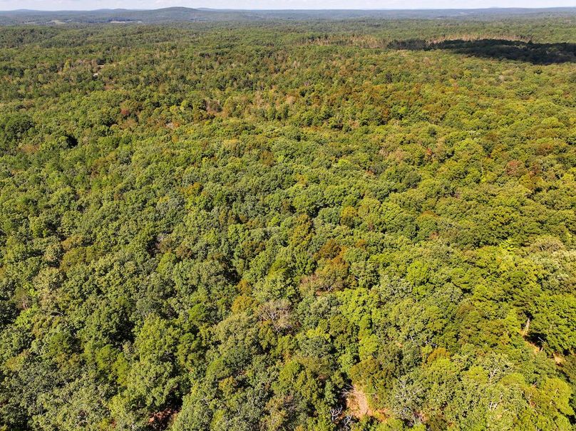 DJI_20240925112926_0220_D