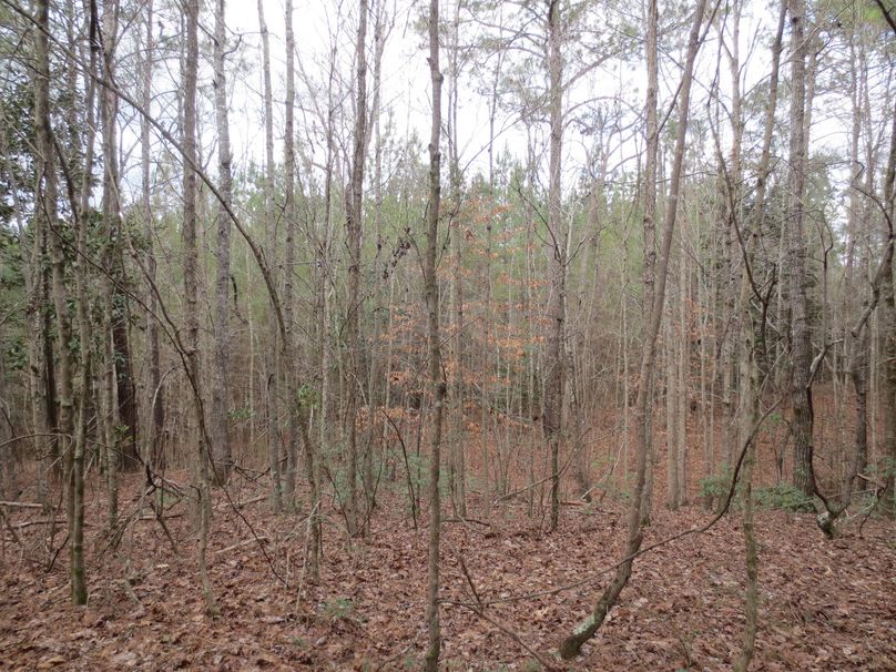 70914B5F-C40E-467D-ACCE-5327D6F82E60