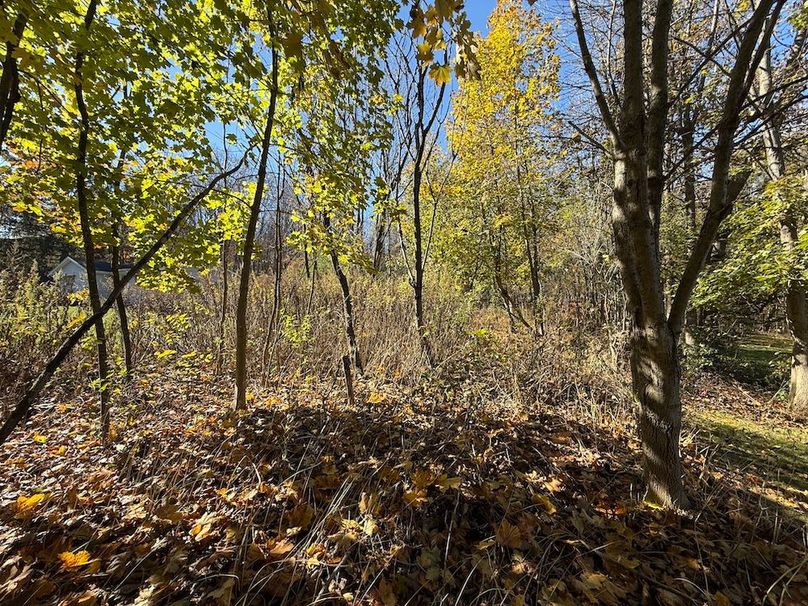 Wayne_18.11_Koehler Photo 15