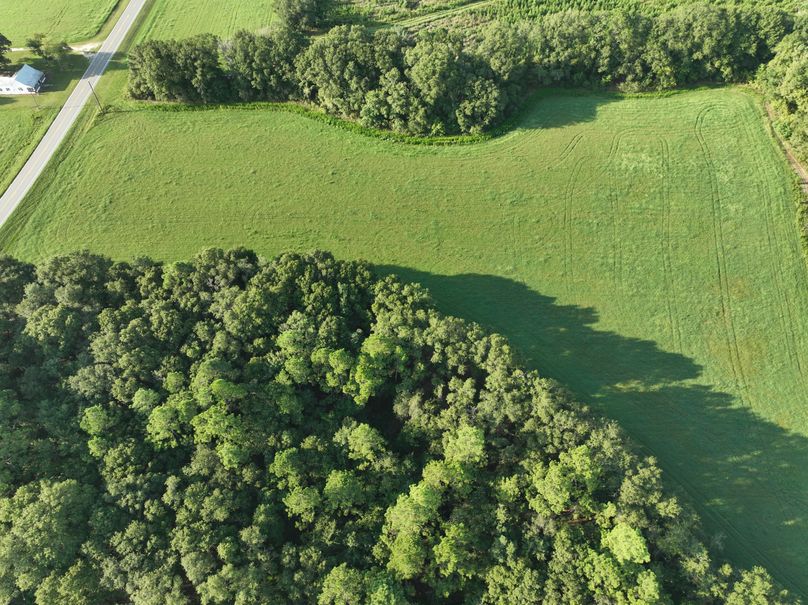 dji_fly_20230813_083738_530_1691930582587_photo