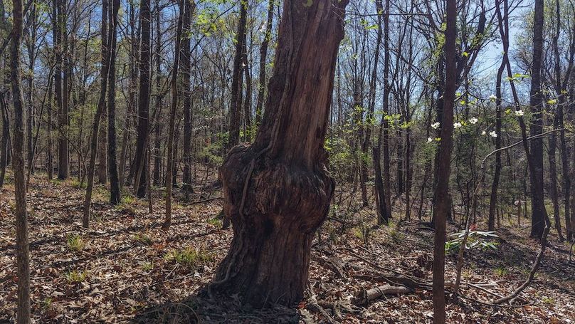 DJI_20260311012850_0047_D