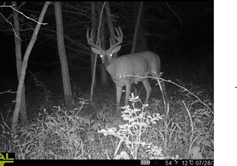 Screenshot 2025-06-21 191549