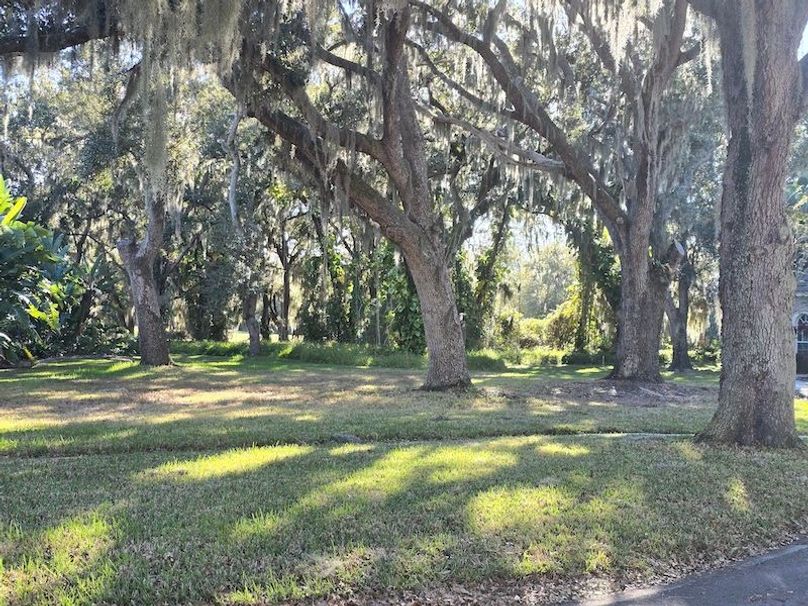  25ac, Osceola, Nimaya Fin13