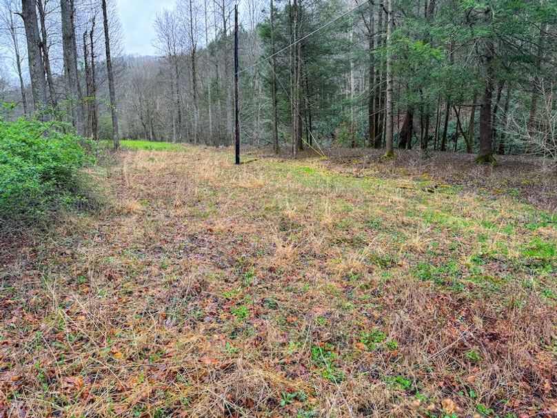 Braxton, WV 2.31 AC Winslow_Cole-03