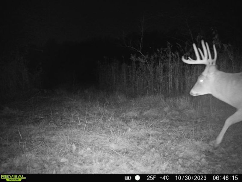 860322065128164-1-2-10302023064614-V-W1004667