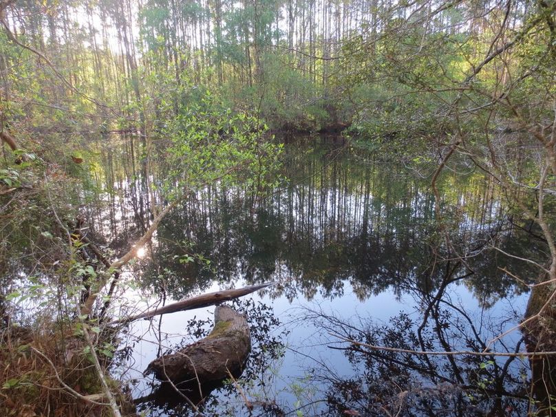 84A17DB1-B90B-4DD6-8687-76B797CFBBC0_1_105_c