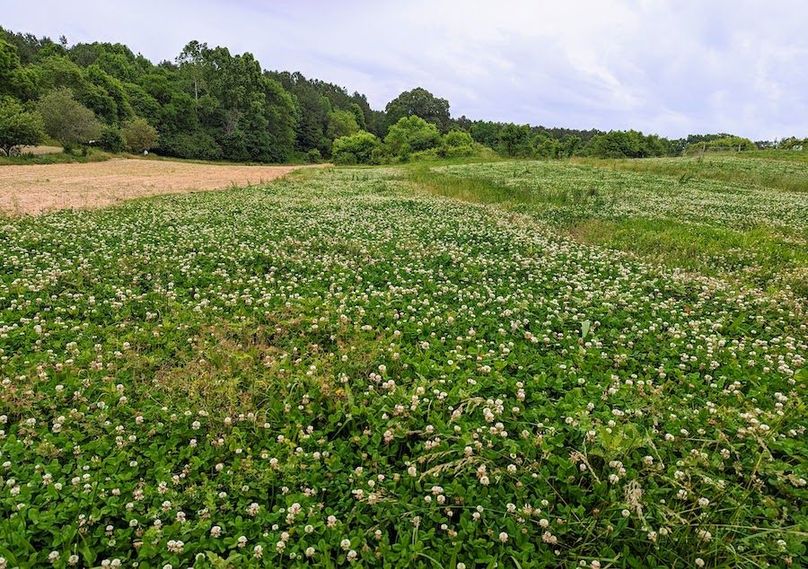 PXL_20230527_185813912