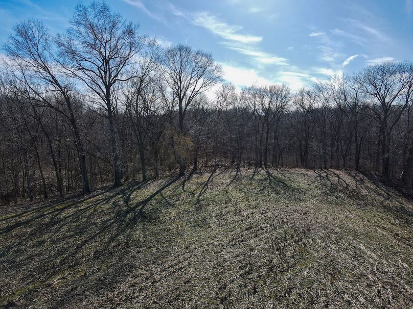 vandalia 450 (2)-2246