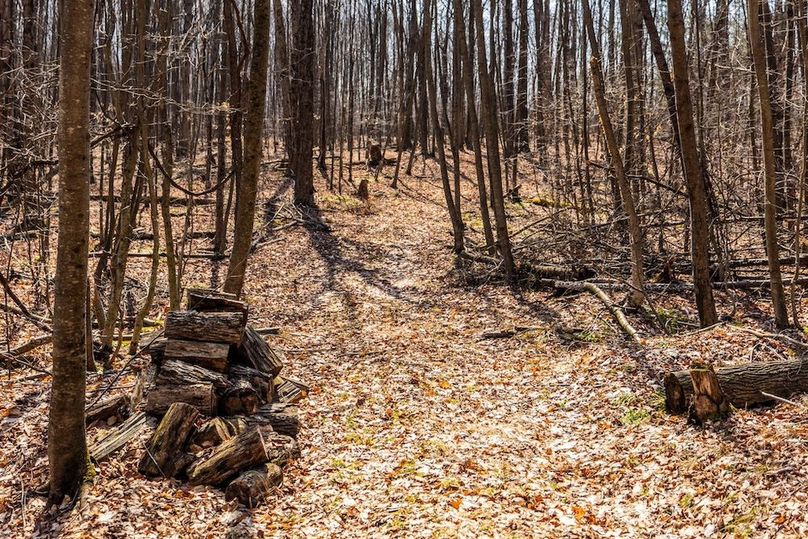 80-web-or-mls-IMG-80