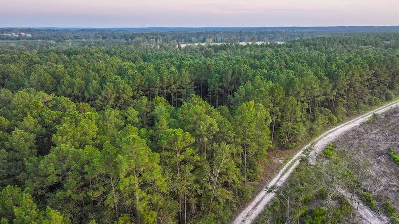 DJI_20250918185142_0284_D