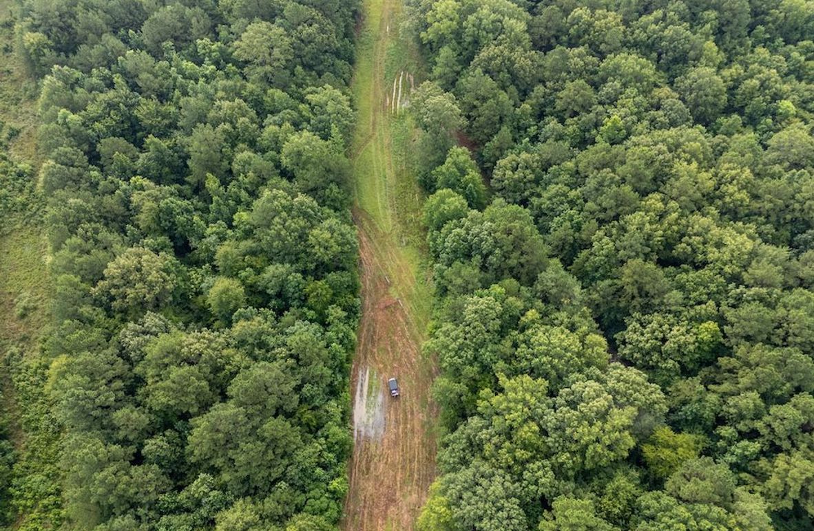 4 Panola Co. 40ac - Rouse-16