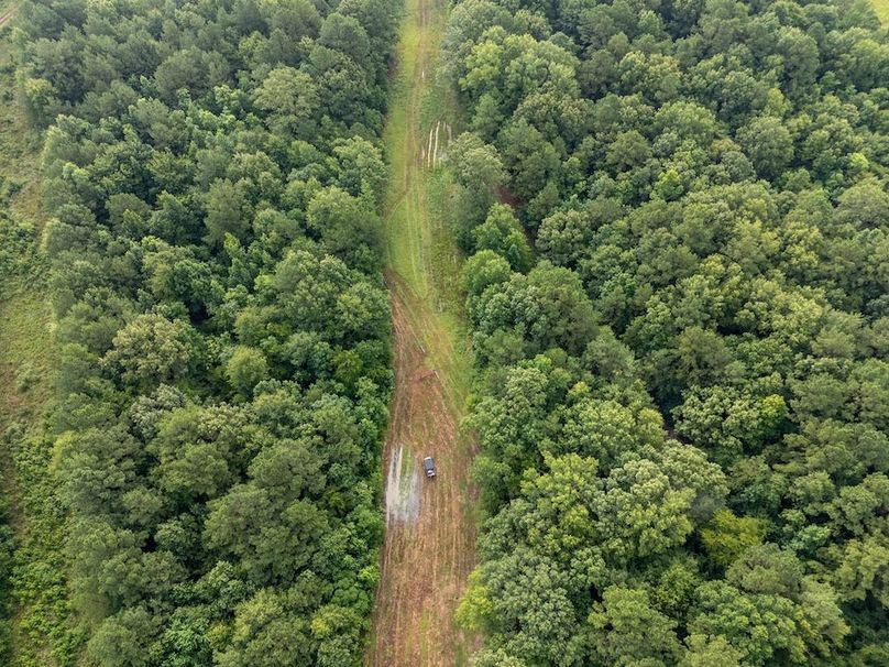 4 Panola Co. 40ac - Rouse-16