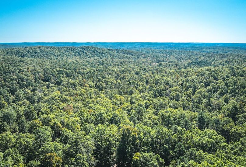 DJI_20251009045725_0593_D