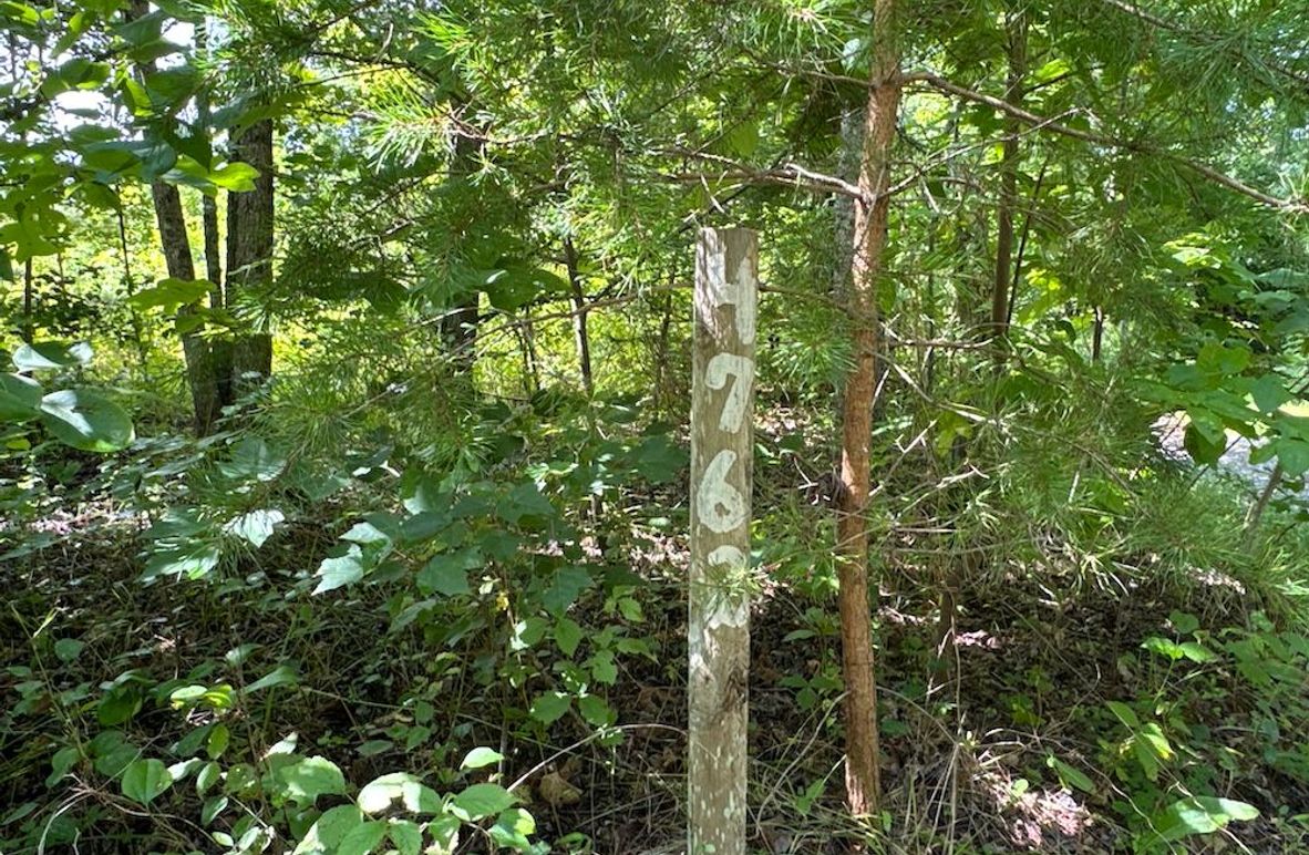 005 (Entrance to Past Homesite)