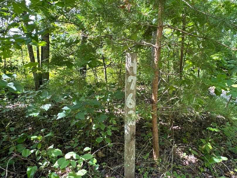 005 (Entrance to Past Homesite)